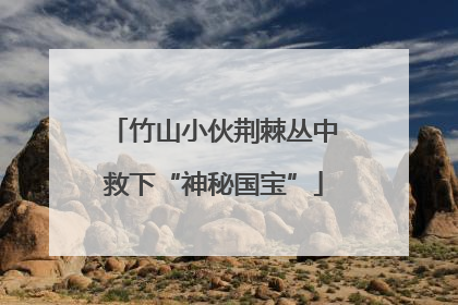 竹山小伙荆棘丛中救下“神秘国宝”