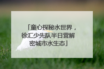 童心探秘水世界，徐汇少先队半日营解密城市水生态