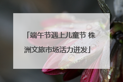 端午节遇上儿童节 株洲文旅市场活力迸发