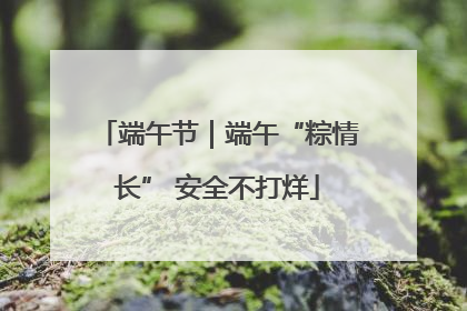 端午节｜端午“粽情长” 安全不打烊