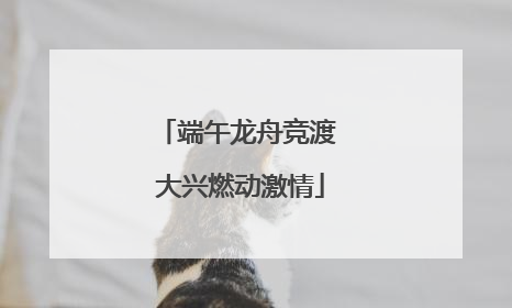 端午龙舟竞渡 大兴燃动激情