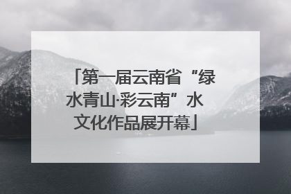 第一届云南省“绿水青山·彩云南”水文化作品展开幕