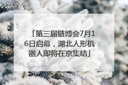 第三届链博会7月16日启幕，湖北人形机器人即将在京集结