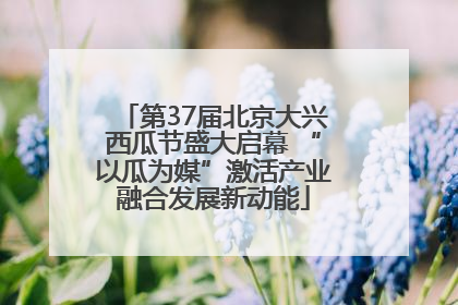第37届北京大兴西瓜节盛大启幕 “以瓜为媒”激活产业融合发展新动能