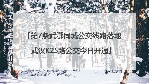 第7条武鄂同城公交线路落地 武汉K25路公交今日开通