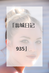 翁城日记 935