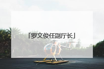 罗文俊任副厅长