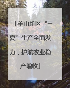 羊山新区“三夏”生产全面发力，护航农业稳产增收