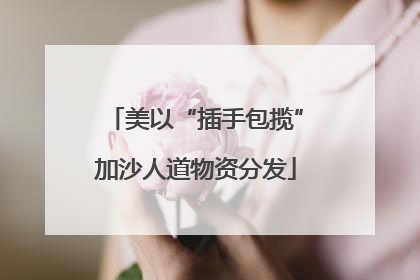 美以“插手包揽”加沙人道物资分发