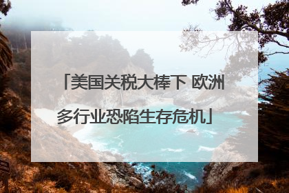 美国关税大棒下 欧洲多行业恐陷生存危机