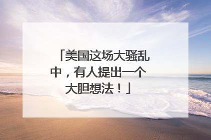 美国这场大骚乱中，有人提出一个大胆想法！