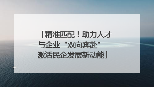 精准匹配！助力人才与企业“双向奔赴” 激活民企发展新动能