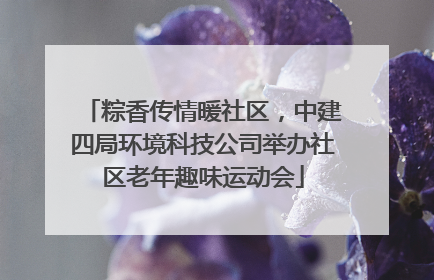 粽香传情暖社区，中建四局环境科技公司举办社区老年趣味运动会