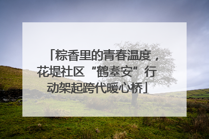 粽香里的青春温度，花堤社区“鹤耋安”行动架起跨代暖心桥