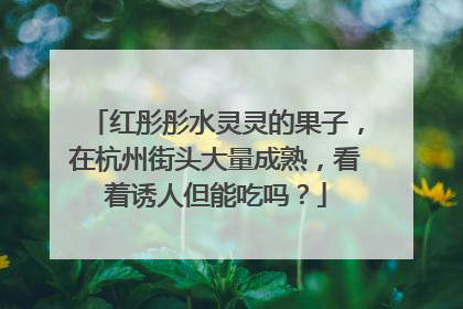 红彤彤水灵灵的果子，在杭州街头大量成熟，看着诱人但能吃吗？