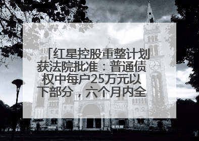 红星控股重整计划获法院批准：普通债权中每户25万元以下部分，六个月内全额现金清偿