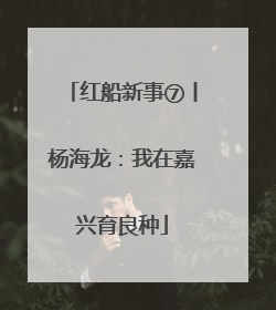 红船新事⑦丨杨海龙：我在嘉兴育良种