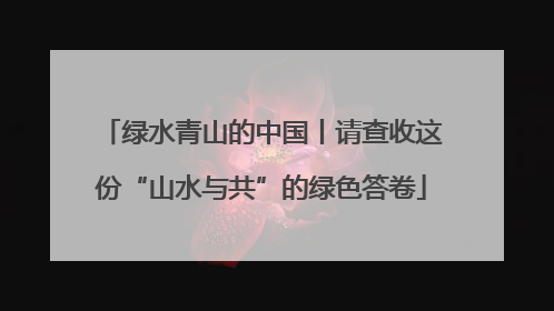 绿水青山的中国丨请查收这份“山水与共”的绿色答卷