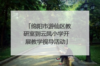 绵阳市游仙区教研室到云凤小学开展教学视导活动