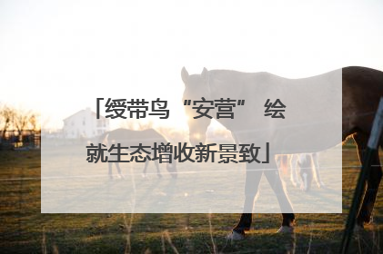 绶带鸟“安营” 绘就生态增收新景致