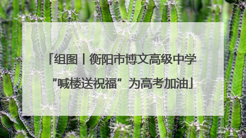 组图丨衡阳市博文高级中学“喊楼送祝福”为高考加油