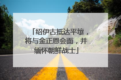 绍伊古抵达平壤，将与金正恩会面，并缅怀朝鲜战士
