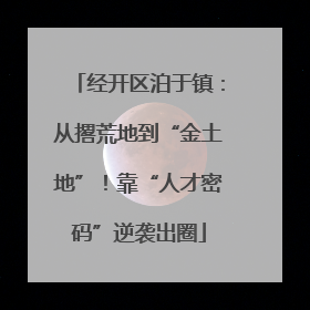 经开区泊于镇：从撂荒地到“金土地”！靠“人才密码”逆袭出圈