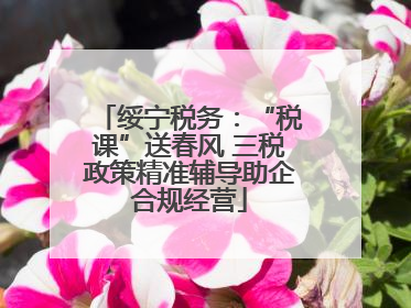 绥宁税务：“税课”送春风 三税政策精准辅导助企合规经营