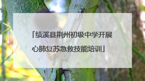 绩溪县荆州初级中学开展心肺复苏急救技能培训