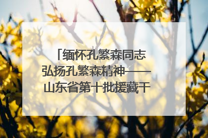 缅怀孔繁森同志 弘扬孔繁森精神——山东省第十批援藏干部人才清明节前到岗巴县开展党性教育