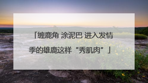 缠鹿角 涂泥巴 进入发情季的雄鹿这样“秀肌肉”