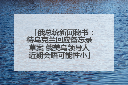 俄总统新闻秘书：待乌克兰回应备忘录草案 俄美乌领导人近期会晤可能性小