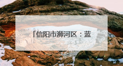信阳市浉河区：蓝莓串起致富链 “莓”好生活入画来