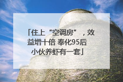 住上“空调房”，效益增十倍 奉化95后小伙养虾有一套
