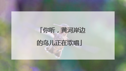 你听，黄河岸边的鸟儿正在歌唱