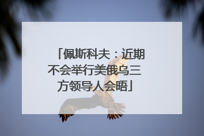 佩斯科夫：近期不会举行美俄乌三方领导人会晤