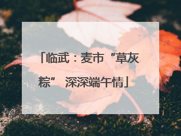 临武：麦市“草灰粽” 深深端午情