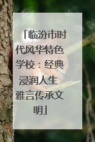 临汾市时代风华特色学校：经典浸润人生 雅言传承文明
