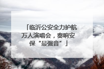 临沂公安全力护航万人演唱会，奏响安保“最强音”