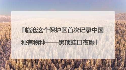 临沧这个保护区首次记录中国独有物种——黑顶蛙口夜鹰