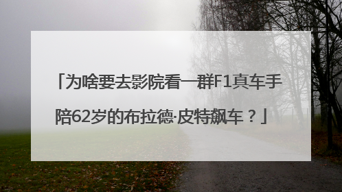 为啥要去影院看一群F1真车手陪62岁的布拉德·皮特飙车？