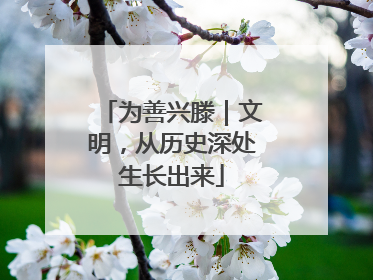 为善兴滕｜文明，从历史深处生长出来