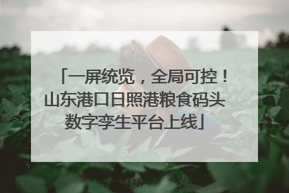 一屏统览，全局可控！山东港口日照港粮食码头数字孪生平台上线