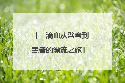 一滴血从臂弯到患者的漂流之旅
