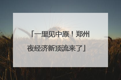 一里见中原！郑州夜经济新顶流来了