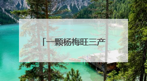一颗杨梅旺三产，钟祥长滩四季采摘带给游客“舌尖上的惊喜”
