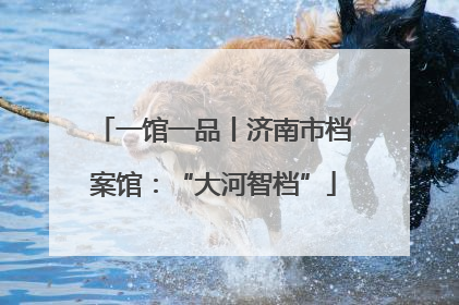 一馆一品丨济南市档案馆：“大河智档”