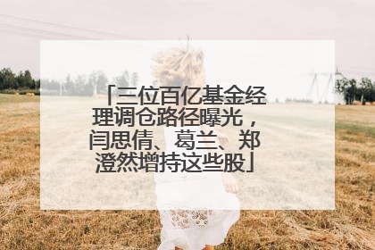 三位百亿基金经理调仓路径曝光，闫思倩、葛兰、郑澄然增持这些股