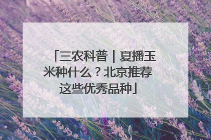 三农科普｜夏播玉米种什么？北京推荐这些优秀品种