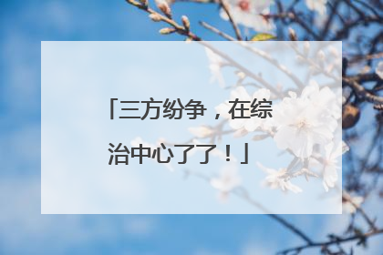 三方纷争，在综治中心了了！